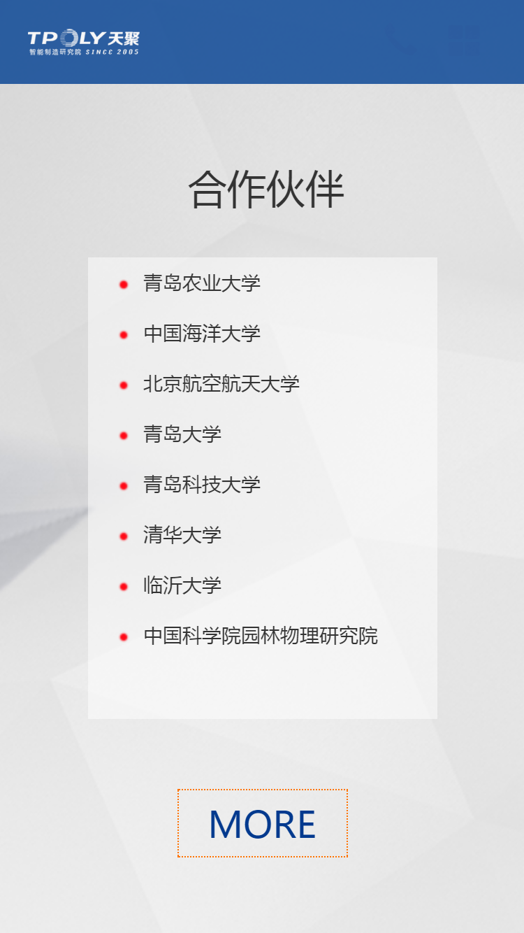 天聚電子(zǐ)手機站設計