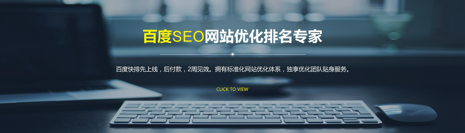 SEO整體解決方案技術